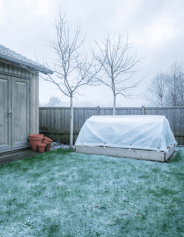 Rasenpflege im Dezember