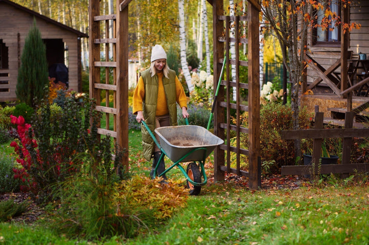 Gartenkalender Oktober: Bereit für den Winter und einen farbenfrohen Frühling