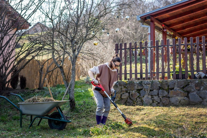 Gartenkalender Februar: Bereiten Sie Ihren Garten auf den Frühling vor!