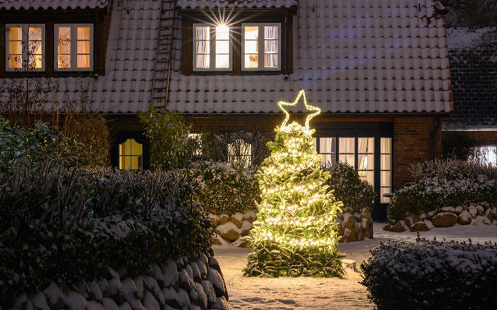 Gartenkalender Dezember: Die Natur ruht – und Sie?