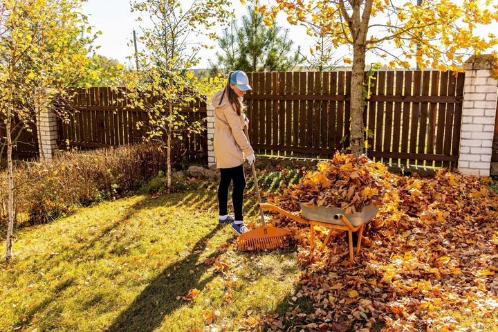 Gartenkalender November: Was jetzt im Garten zu tun ist