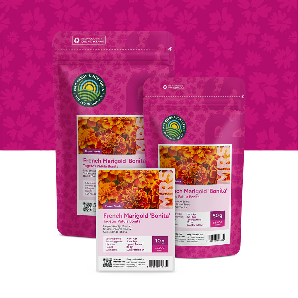 Studentenblume 'Bonita' – Tagates