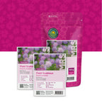 Acker-Witwenblume – Knautia arvensis
