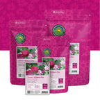 Bartnelke (mischung) – Dianthus barbatus