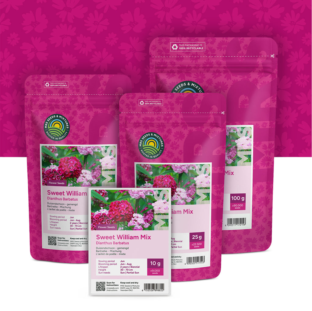 Bartnelke (mischung) – Dianthus barbatus