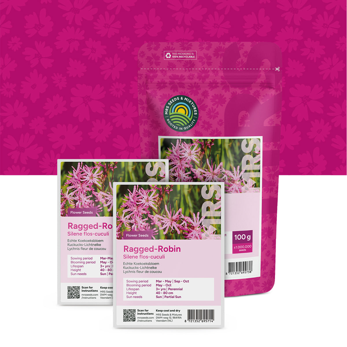 Kuckucks-Lichtnelke – Silene flos-cuculi