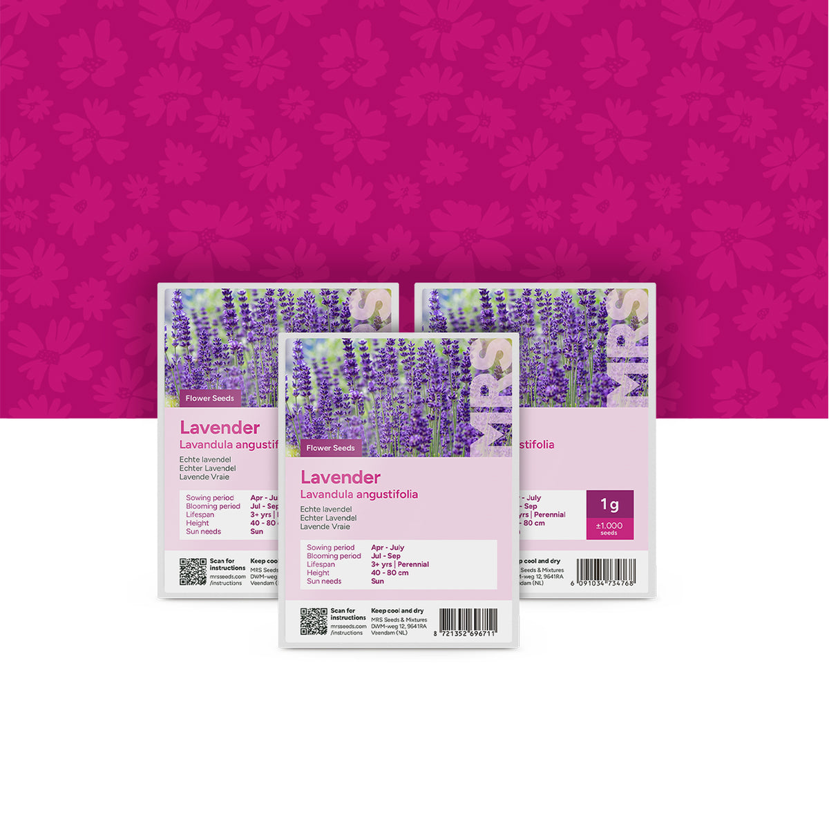 Echter Lavendel – Lavandula angustifolia