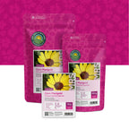 Saat-Wucherblume – Chrysanthemum segetum