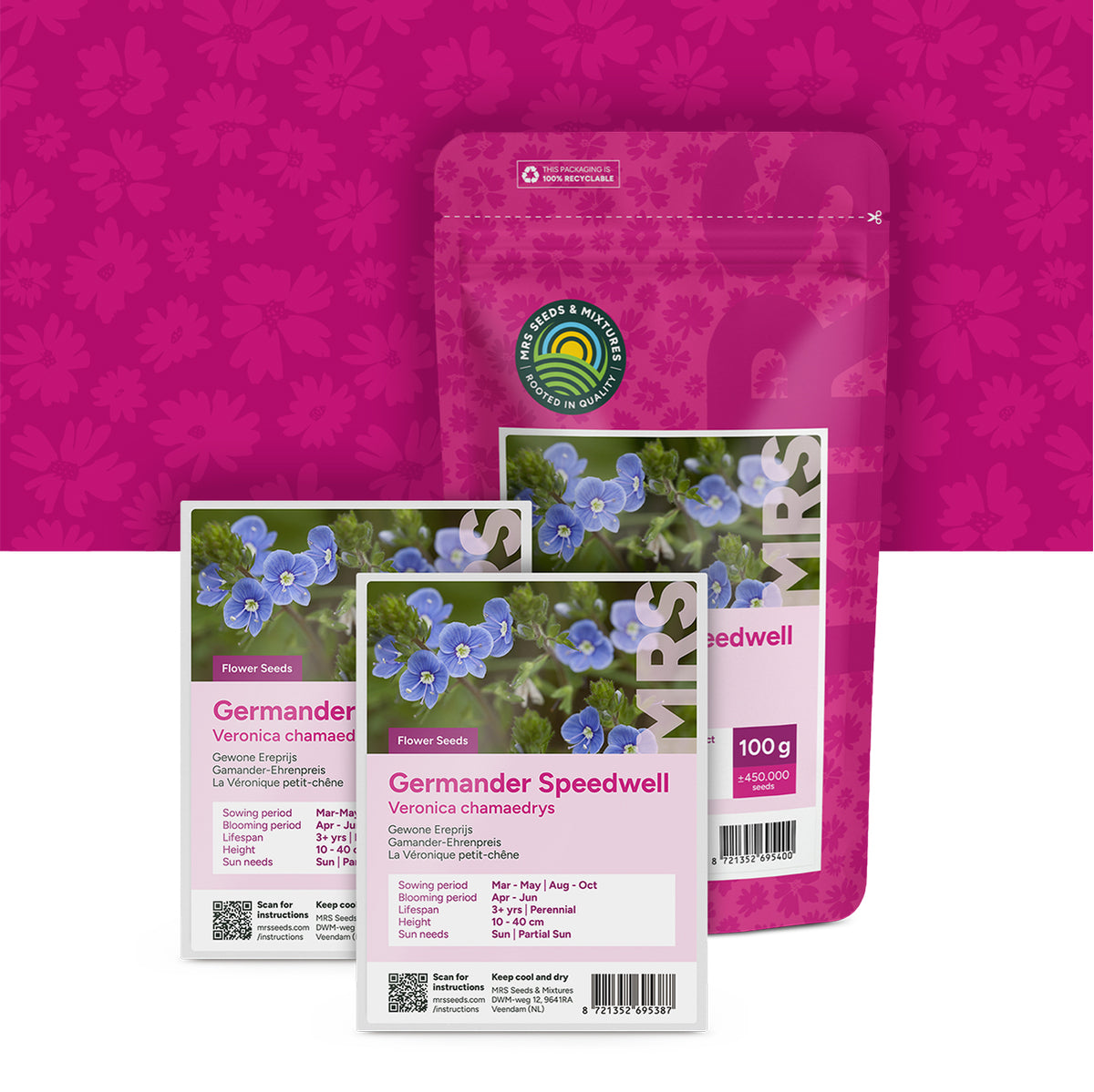 Gamander-Ehrenpreis – Veronica chamaedrys