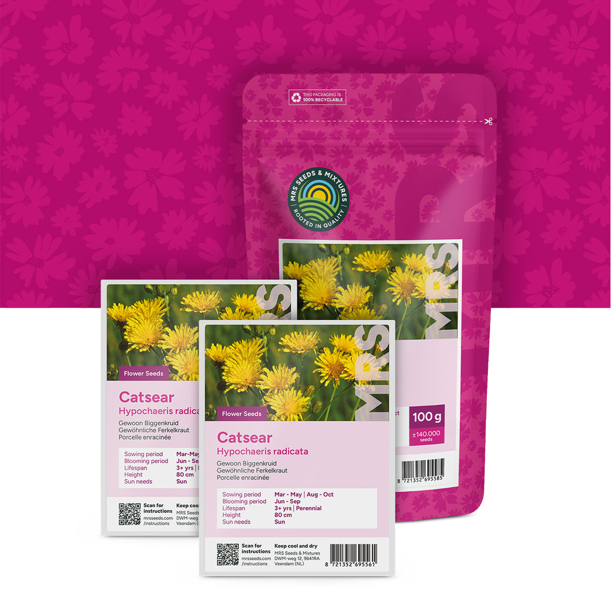 Gewöhnliches Ferkelkraut – Hypochaeris radicata