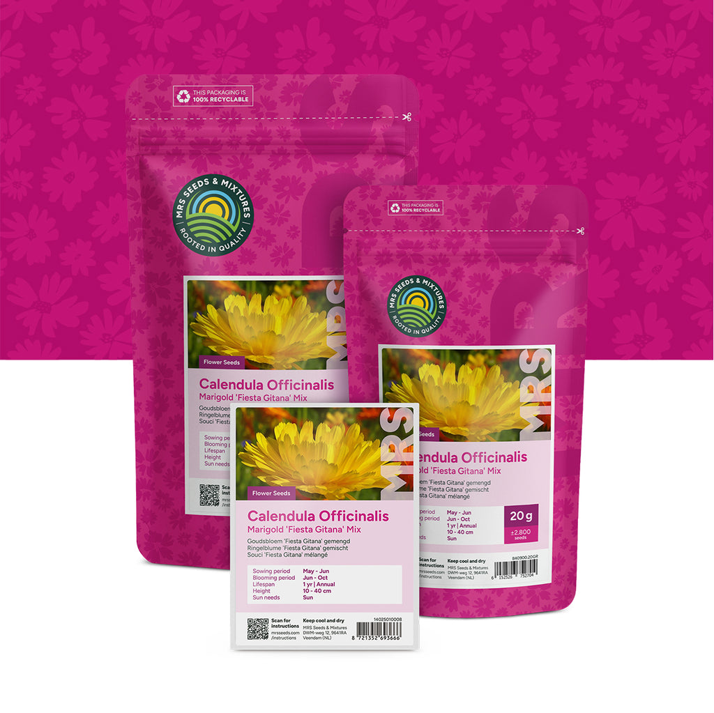 Ringelblume 'Fiesta Gitana' gemischt – Calendula