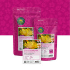 Ringelblume 'Fiesta Gitana' gemischt – Calendula