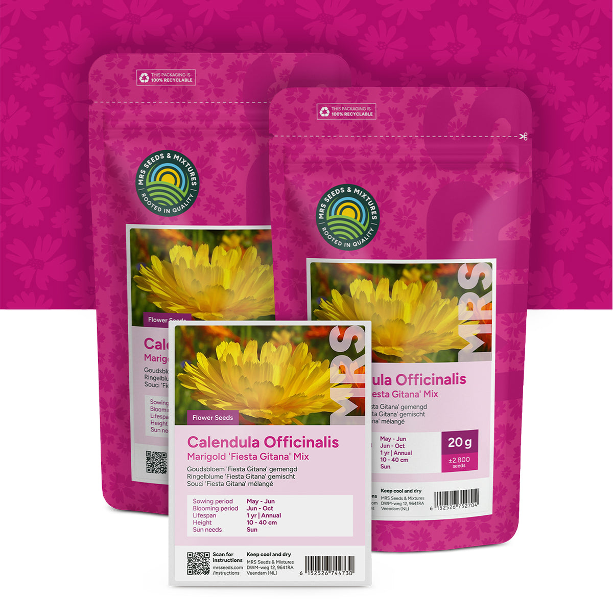 Ringelblume 'Fiesta Gitana' gemischt – Calendula