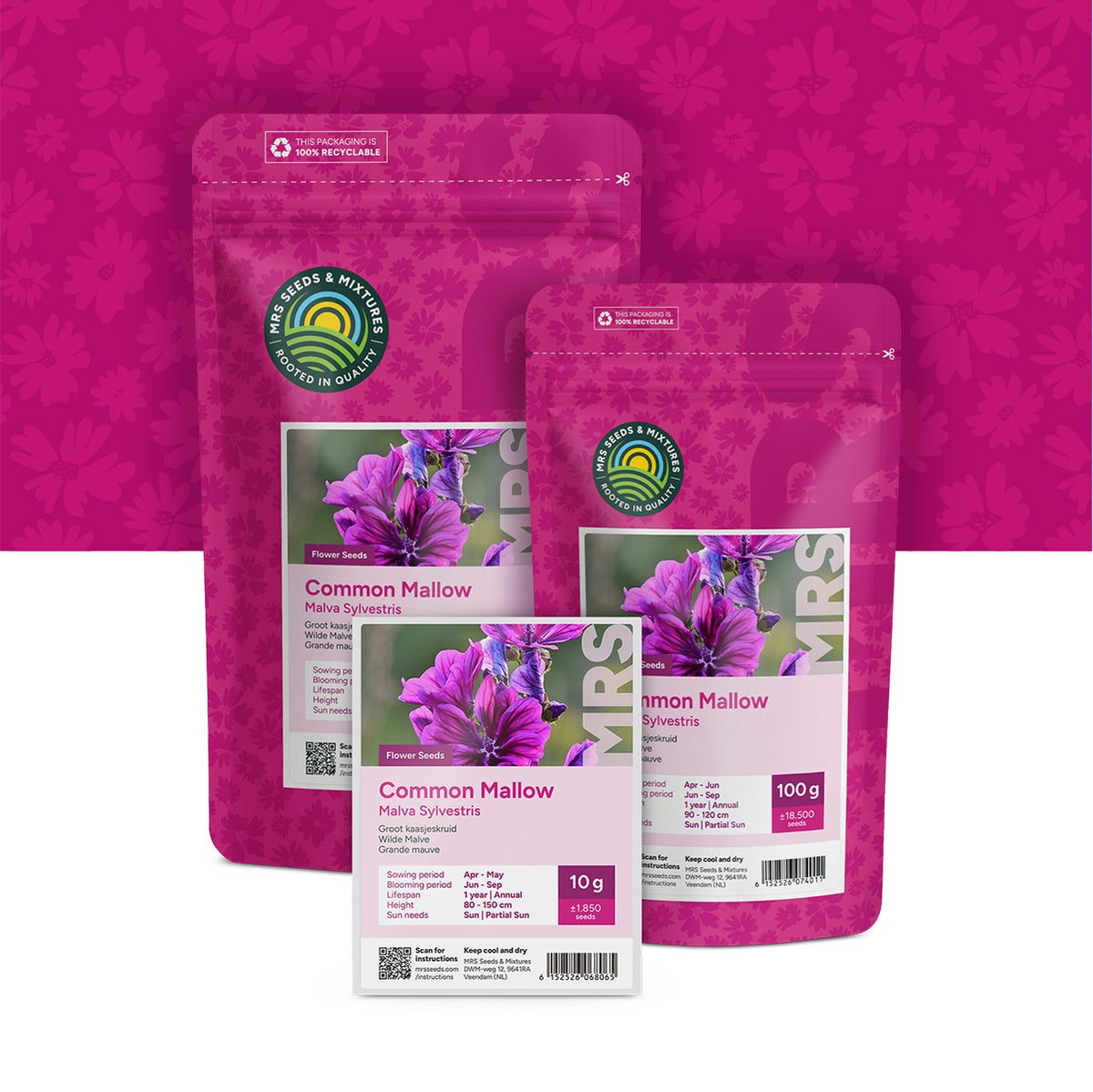 Wilde Malve – Malva sylvestris