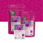 Wilde Malve – Malva sylvestris