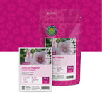 Bechermalve (gemischt) –  Lavatera trimestris