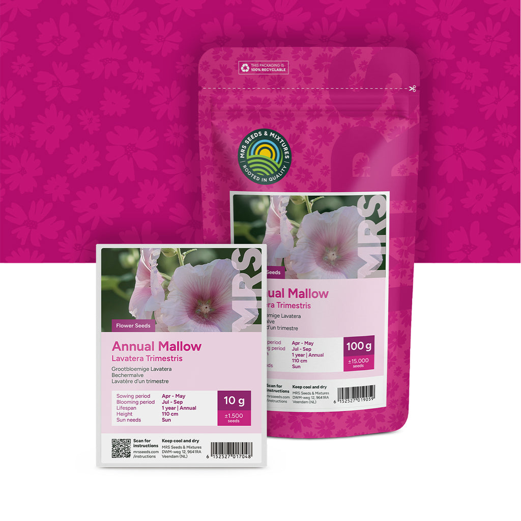 Bechermalve (gemischt) –  Lavatera trimestris