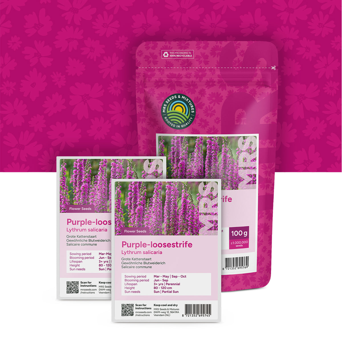 Blutweiderich – Lythrum salicaria