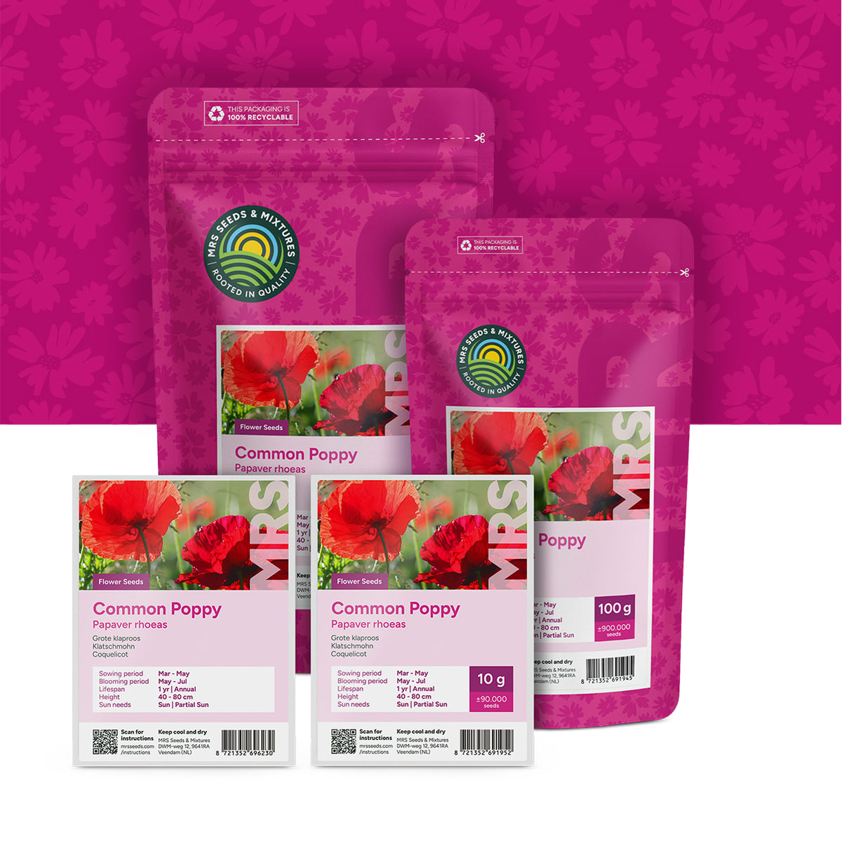 Klatschmohn – Papaver rhoeas