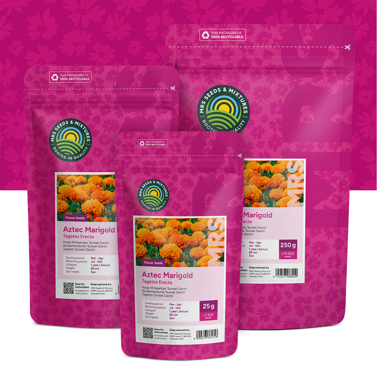 Studentenblume 'Sunset Giants' – Tagates erecta