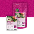 Mittagsblume (gemischt) – Mesembryanthemum