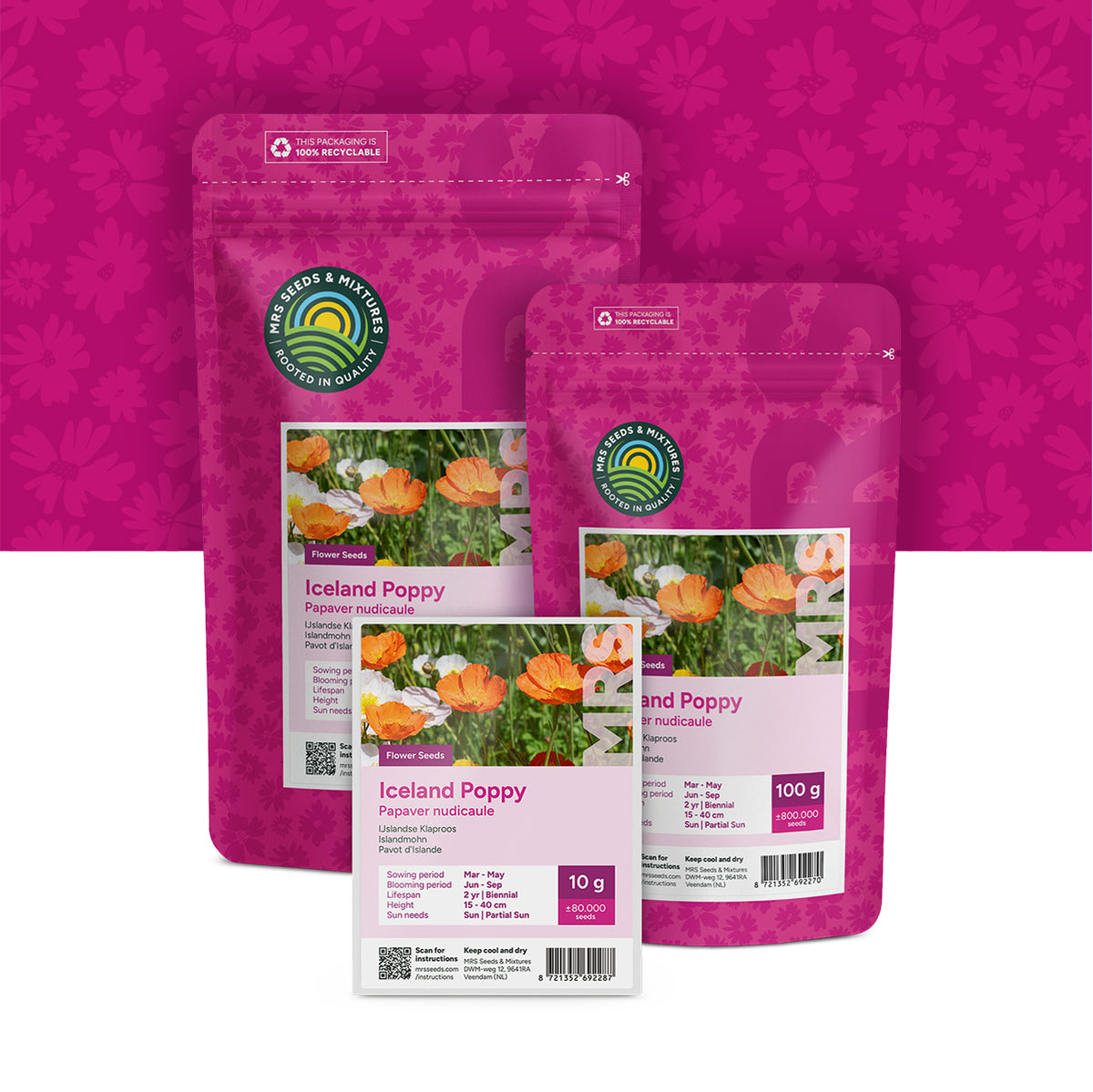 Islandmohn – Papaver nudicaule