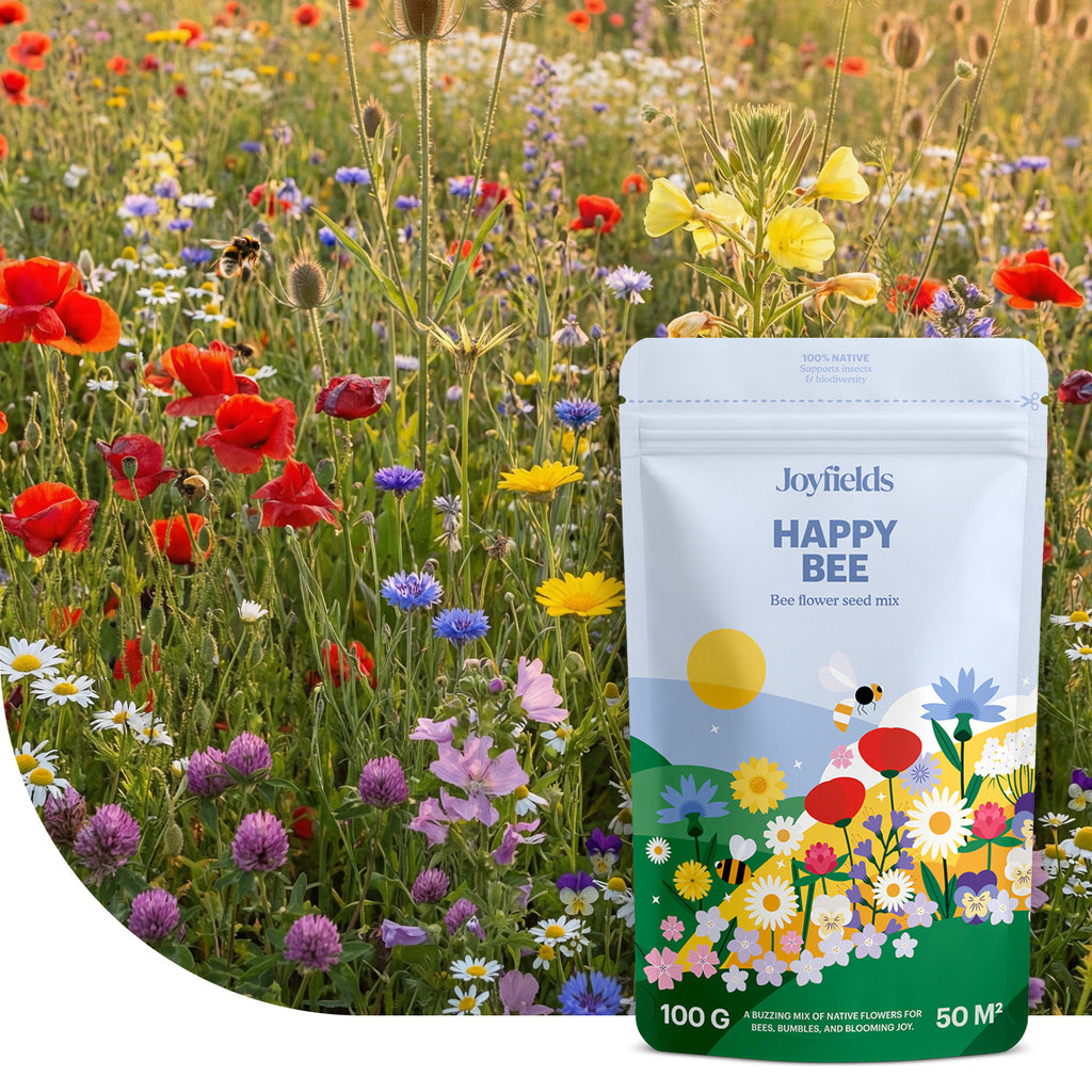 Happy Bee – Einheimische Bienen- & Hummelblumenmischung