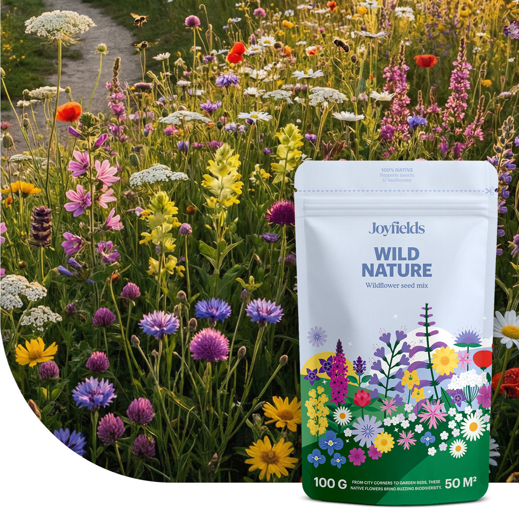 Wild Nature – Einheimische Wildblumenmischung