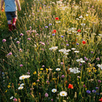 Friendly Flowers – Einheimische Spielwiesen-Blumenmischung