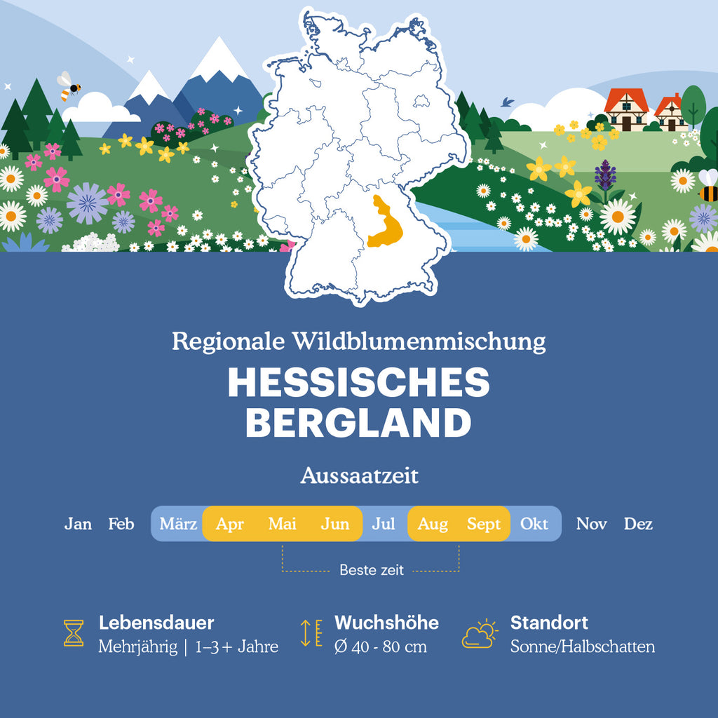 Joyfields Regionale Wildblumenmischung Deutschland - UG21 Hessisches Bergland [de]