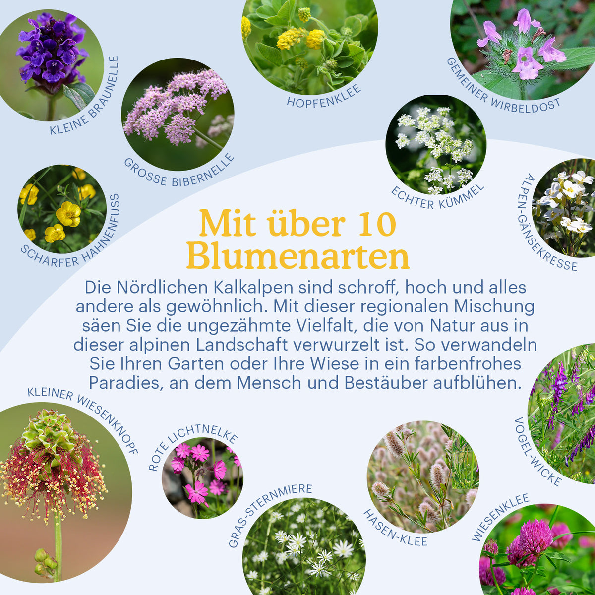 Joyfields Regionale Wildblumenmischung Deutschland - UG18 Nördliche Kalkalpen [de]