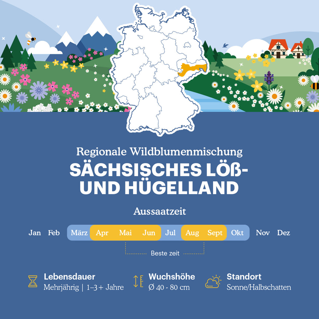 Joyfields Regionale Wildblumenmischung Deutschland - UG20 Sächsisches Löß- & Hügelland [de]