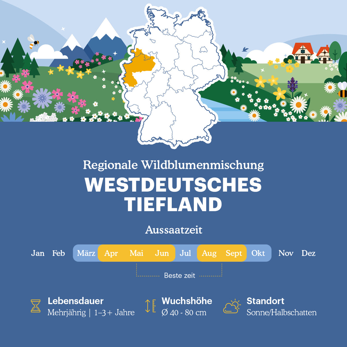 Joyfields Regionale Wildblumenmischung Deutschland - UG2 Westdeutsches Tiefland [de]