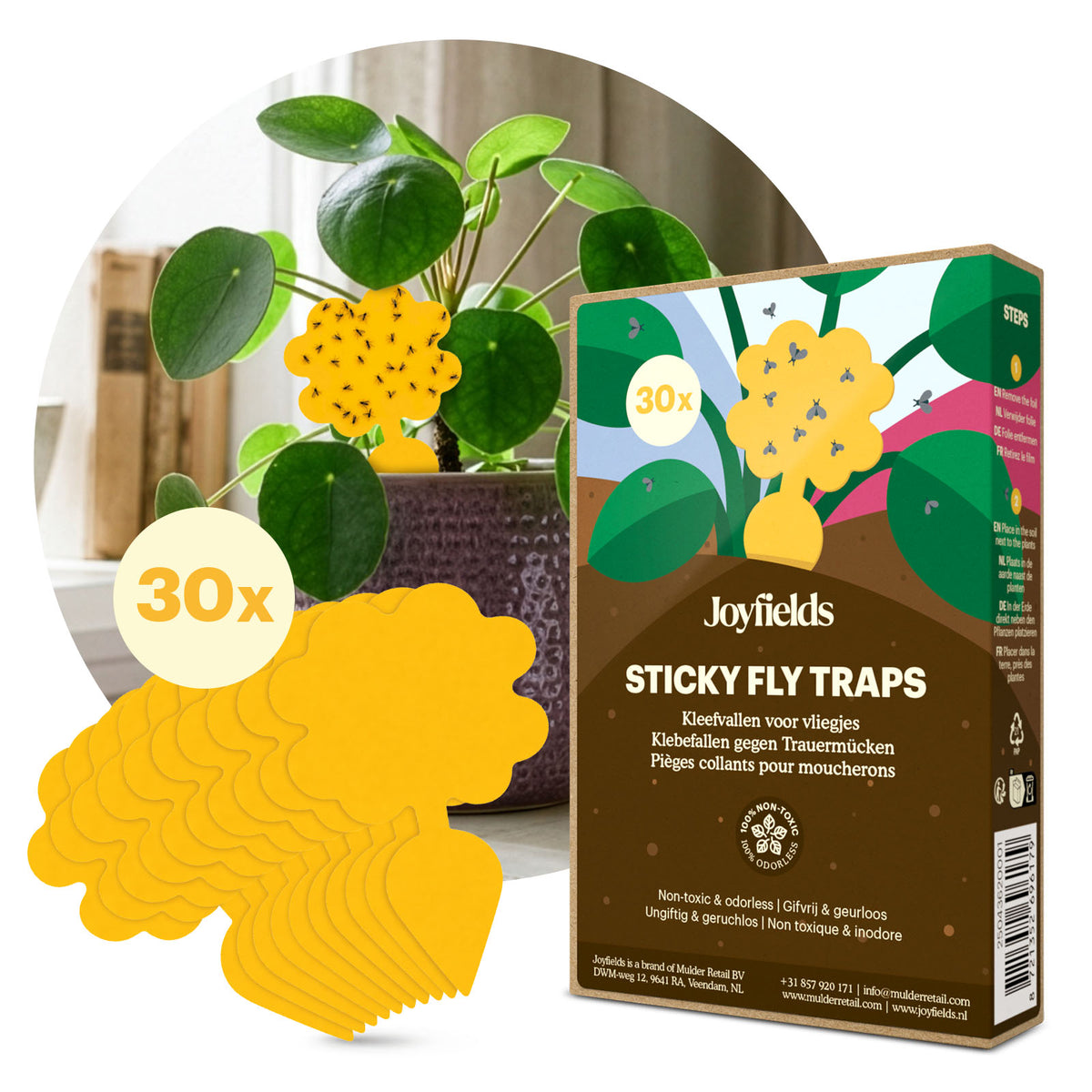 Fangplatten – Klebefallen für Trauermücken