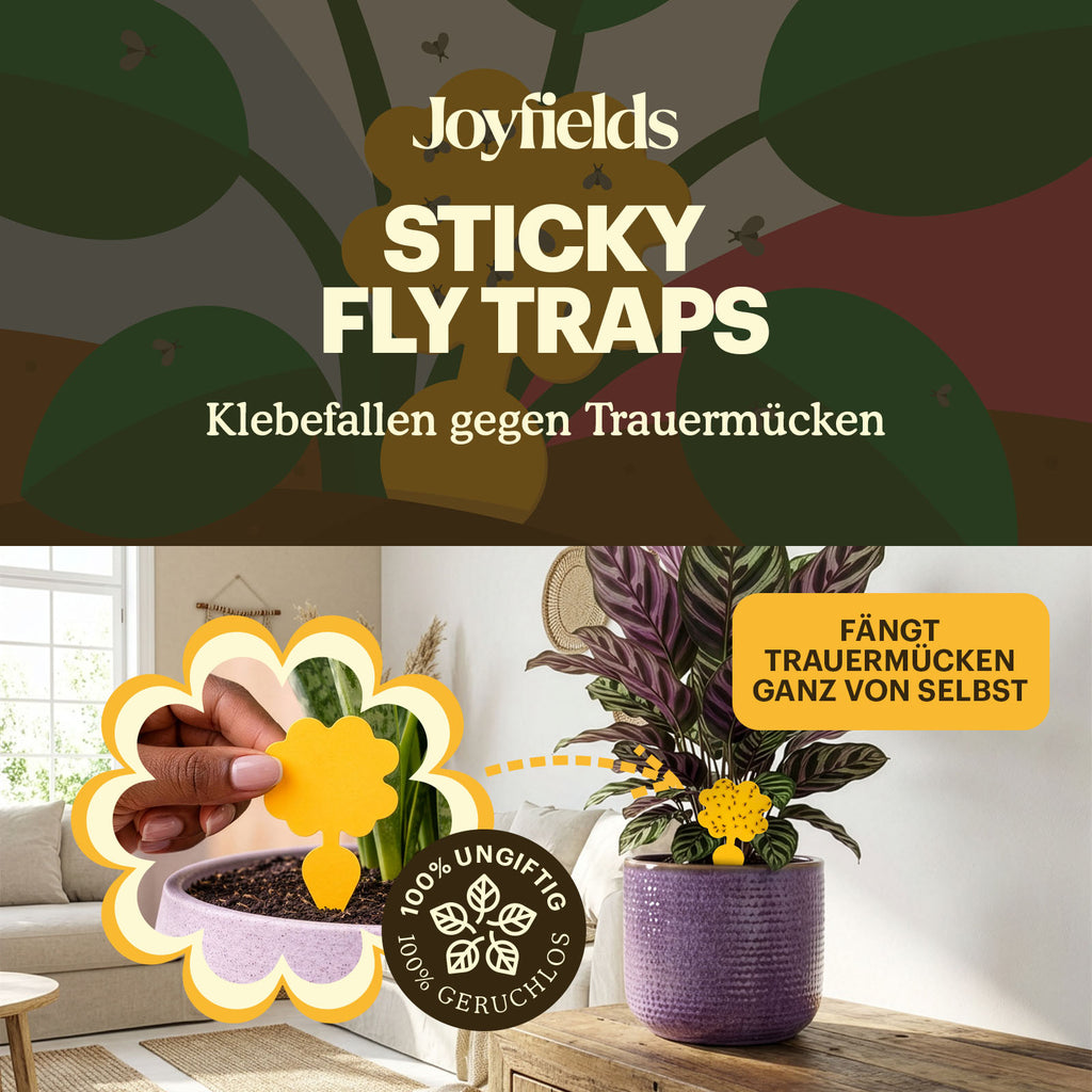 sticky-fly-traps-situation [de]