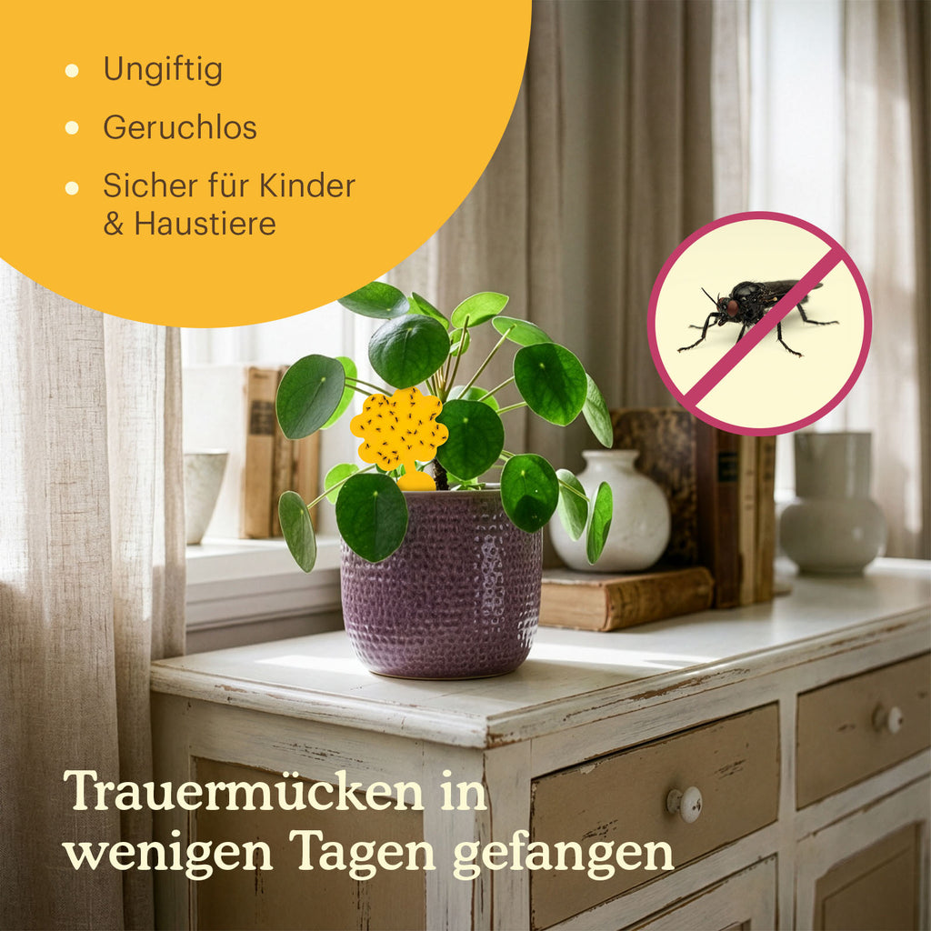 sticky-fly-traps-situation [de]