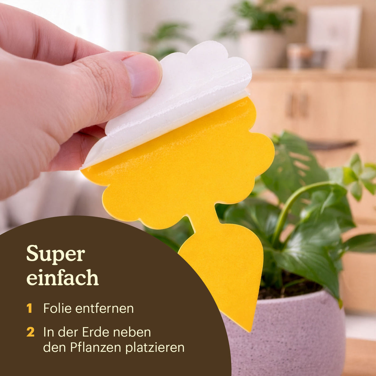 sticky-fly-traps-manual [de]
