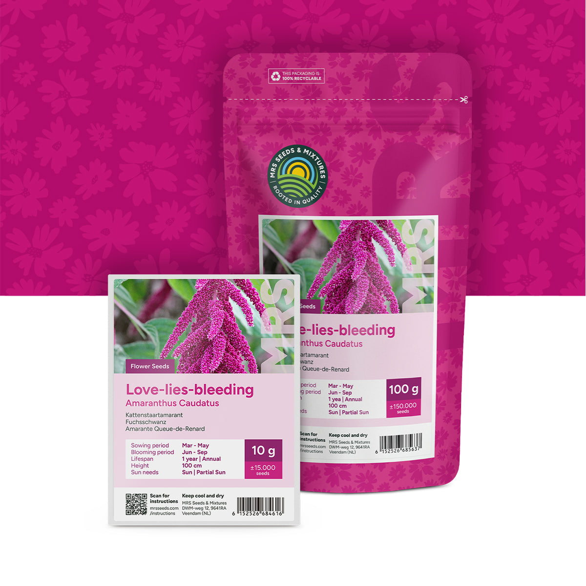 Fuchsschwanz  – Amaranthus caudatus