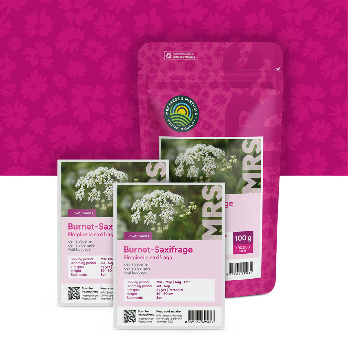 Kleine Bibernelle – Pimpinella saxifraga