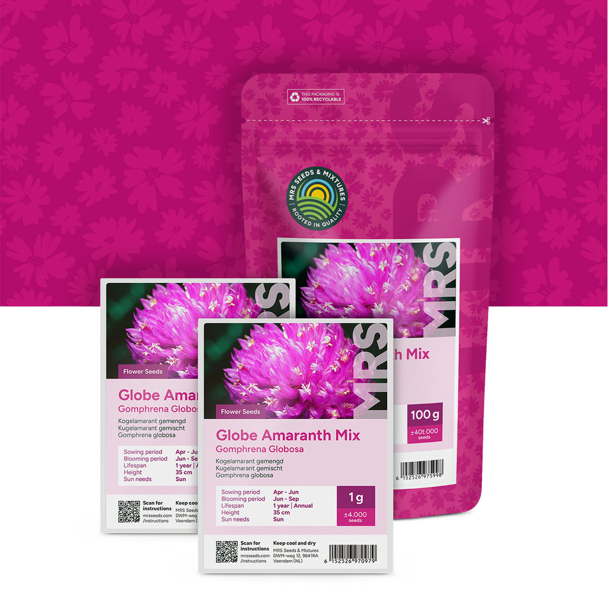 Kugelamarant gemischt – Gomphrena globosa