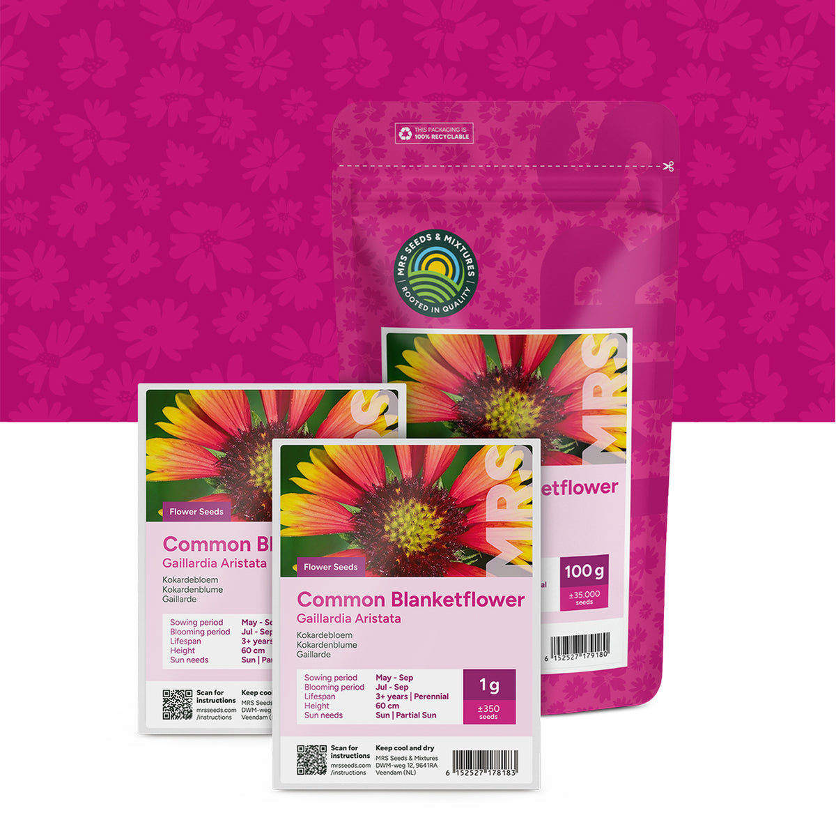 Kokardenblume – Gaillardia aristata