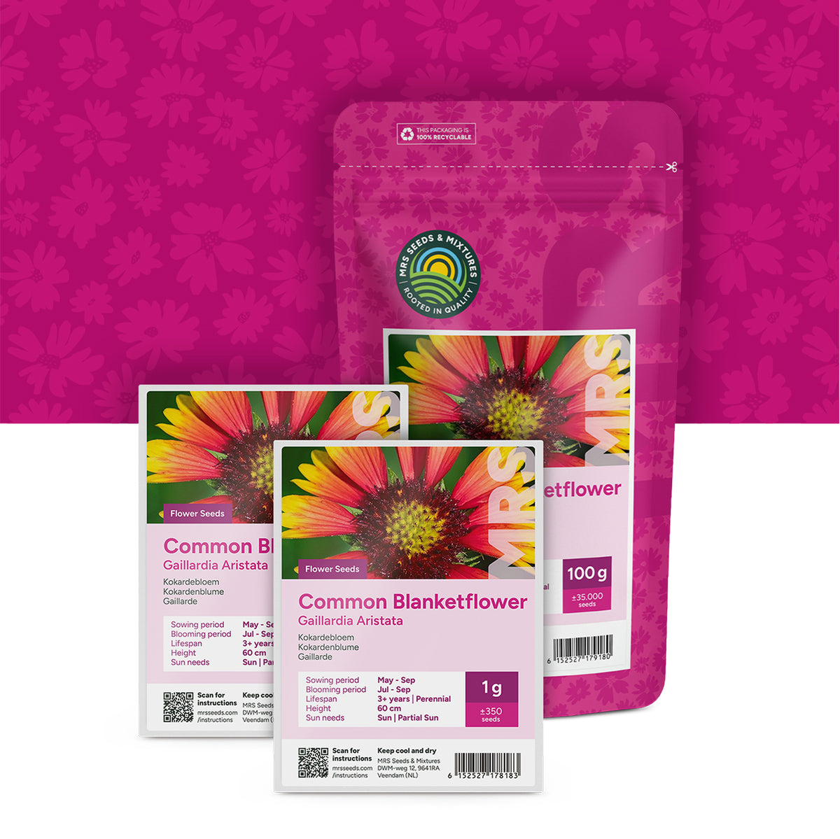 Kokardenblume – Gaillardia aristata