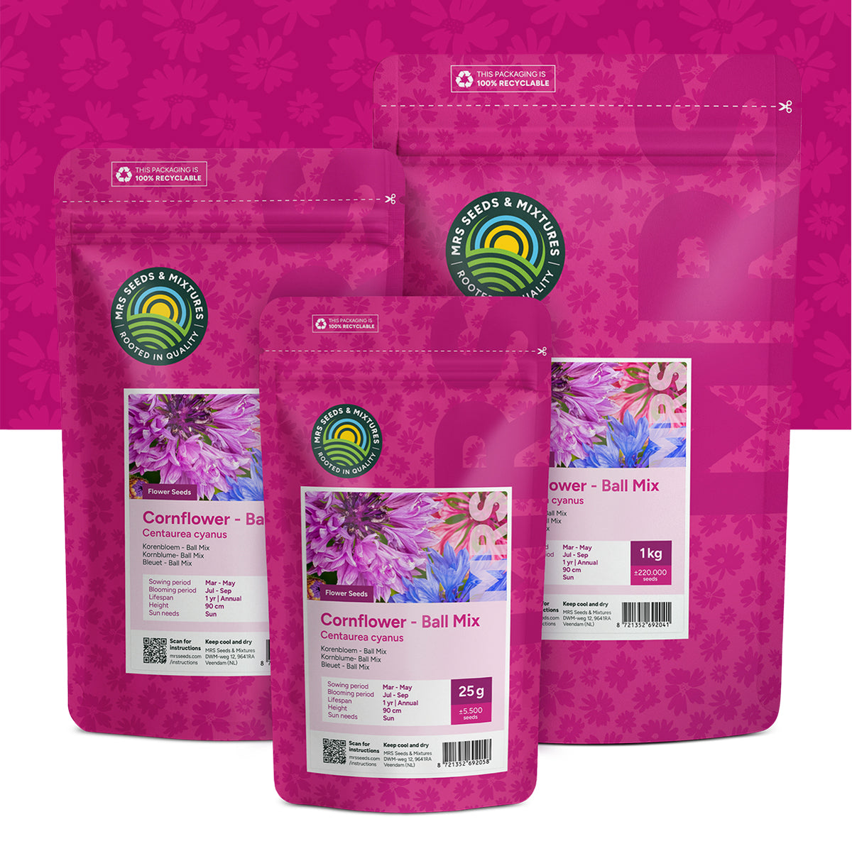 Kornblume 'Ball mix' – Centaurea cyanus