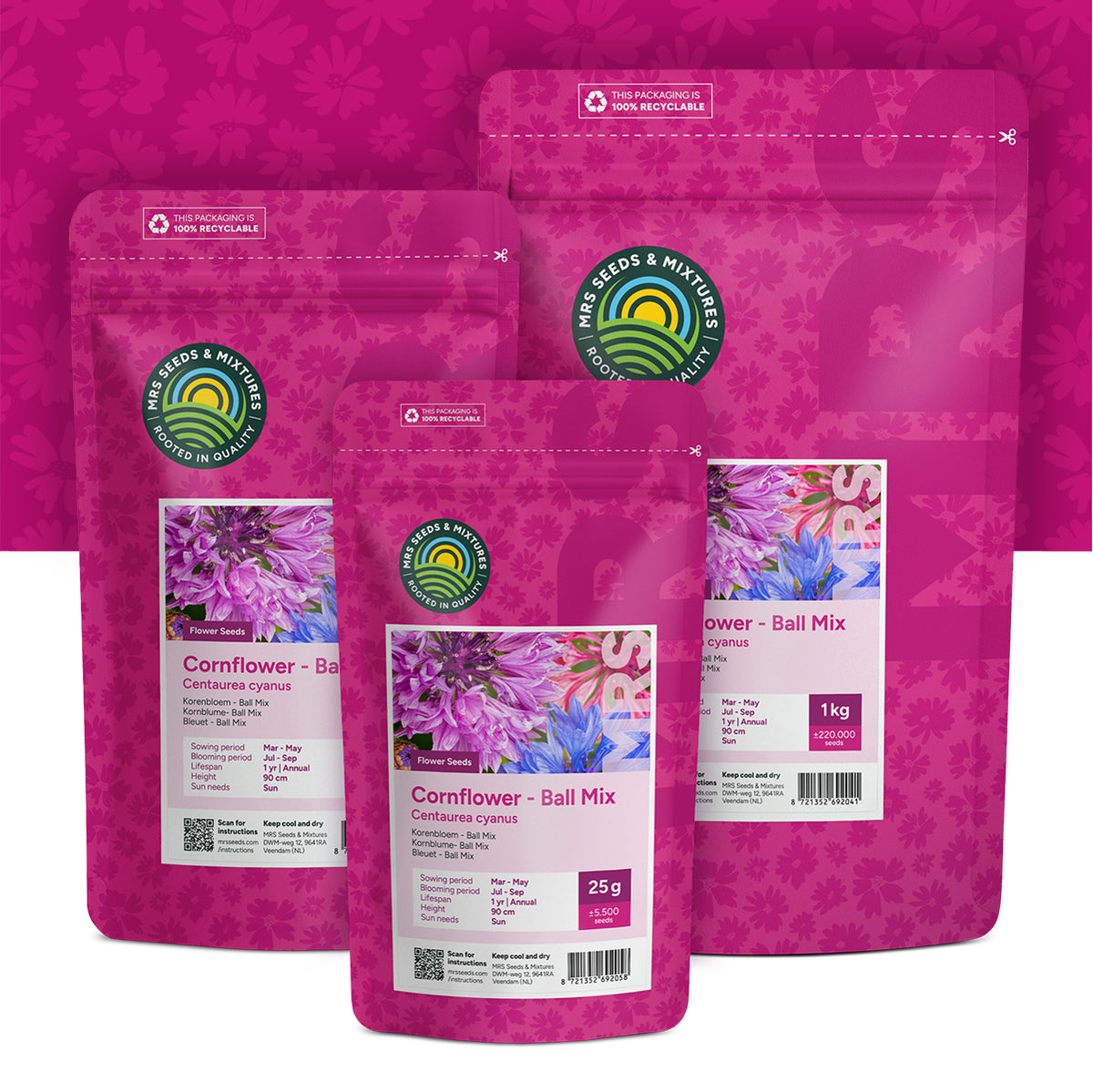 Kornblume 'Ball mix' – Centaurea cyanus