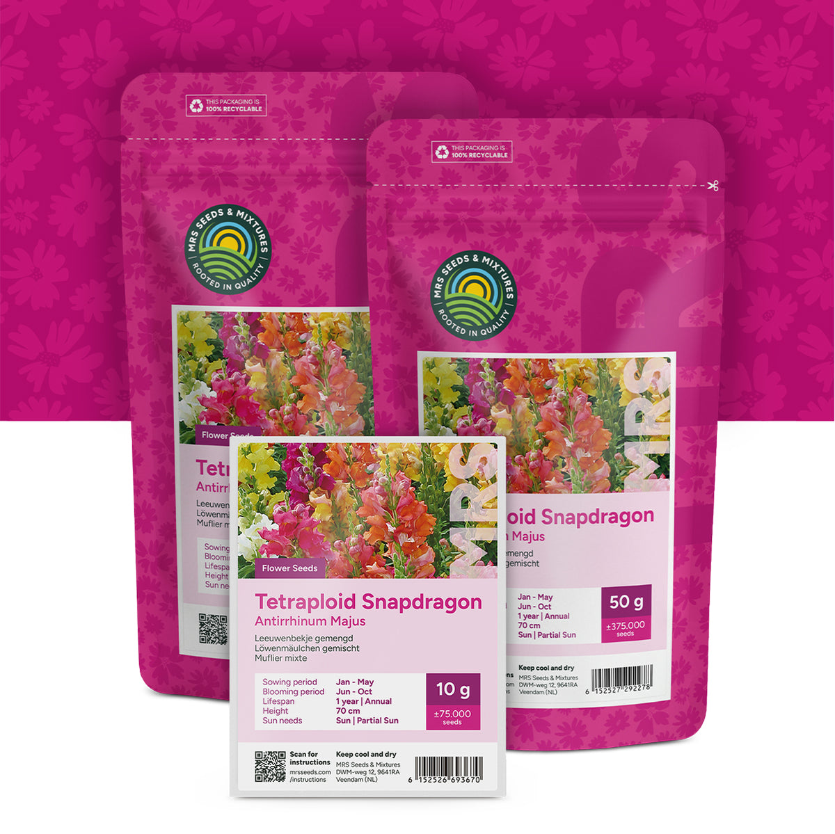 Löwenmäulchen (gemischt) – Antirrhinum majus