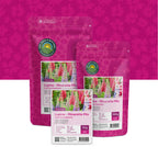 Lupine – Lupinus Minarette Mix