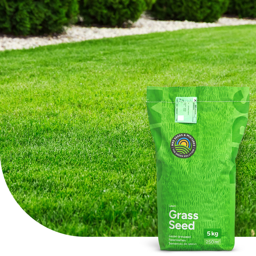 Luxury Lawn – RSM 1.1.1 Grassamen Zierrasen