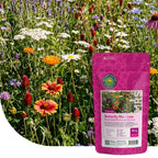 Schmetterlingsblumenmischung – Niedrig blühend