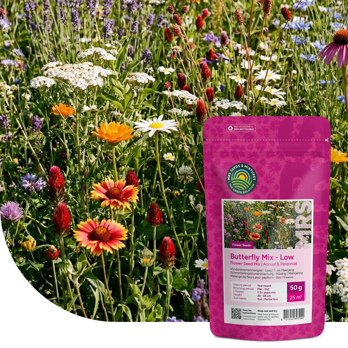 Schmetterlingsblumenmischung – Niedrig blühend