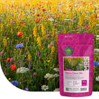 Einheimische Wildblumenmischung – mehrjährig